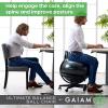imageGaiam Ultimate Balance Ball Chair Standard or Swivel Base Option  Premium Exercise Stability Yoga Ball Ergonomic Chair for Home and Office Desk  52cm AntiBurst Ball Air Pump Exercise GuideStandard Base Black