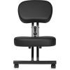 imageGaiam Ergonomic Kneeling Chair  Adjustable Office Chair with Padded Cushions  Home Office Chair for Improving Posture and Core Alignment  Includes EasyGlide Lockable Caster Wheels