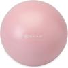 imageGaiam Mini Ab Ball 8 Inch Inflatable AntiBurst Exercise Ball for Core Strength Pilates Yoga and Physical Therapy Includes Inflation Straw Plug ampamp Downloadable Exercise GuideRomance Rose