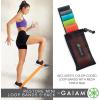 imageGaiam Restore Mini Resistance Loop Bands  5 Pack Booty Bands with 5 Resistance Levels  Loop Resistance Bands for Exercise and Rehab  Includes Guide and Carry Bag