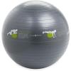imageGaiam Restore SelfGuided Stability Ball 65cm