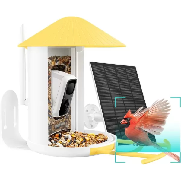 NETVUE Birdfy® AI Smart Bird Feeder with Camera Solar Powered, Free AI Forever, Auto Capture &amp; Identify 6000+ Bird Species, Bird Videos for Birdwatching, Ideal Gift for Bird Lover