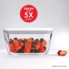 imageZWILLING Fresh ampamp Save 3pc Glass Food Storage Meal Prep Container Assorted SizesClear
