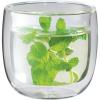 imageZWILLING Sorrento 2pc DoubleWall Glass Tea Cup SetGlass
