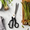 imageJA Henckels International Superfection Classic 10Inch Bent Shears