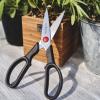 imageZWILLING Twin L Kitchen Shears 8 Inch Pack of 1 Red